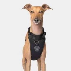 Canada Pooch Breathable Mesh Nylon Black Dog Harness SZ.XL
